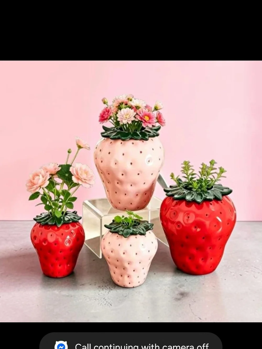 RED Strawberry Plastic Planter - Makeup Holder Red